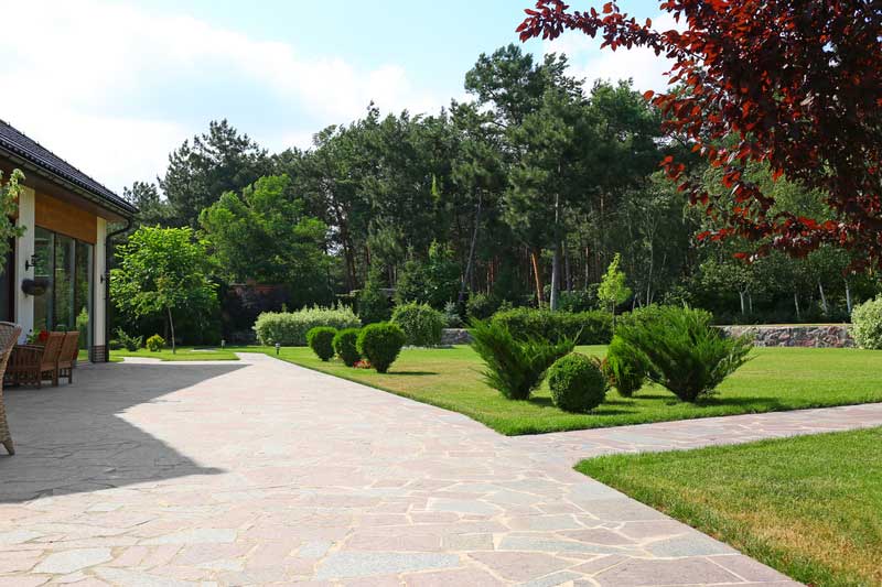 Garden landscaping with trees and small bushes